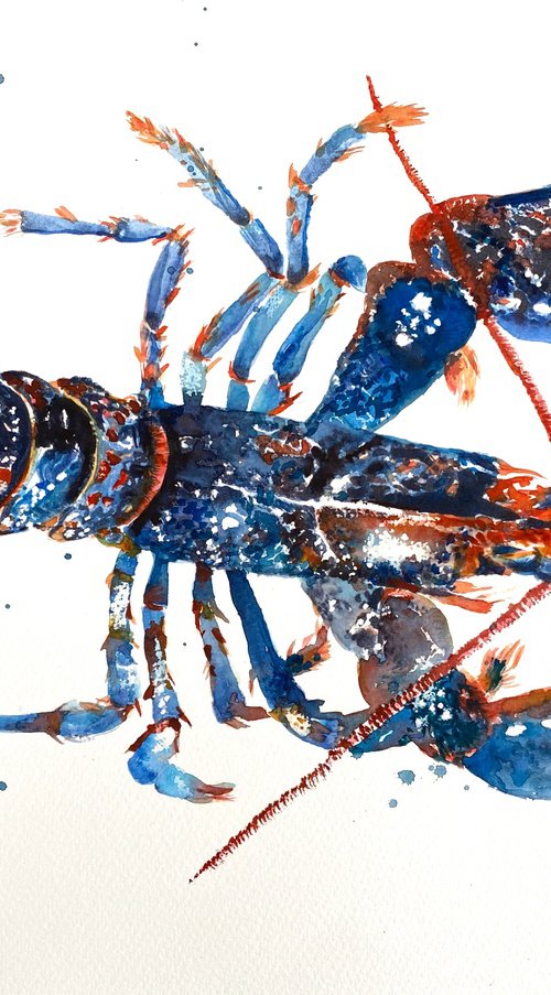 Lobster by Teresa Tanner