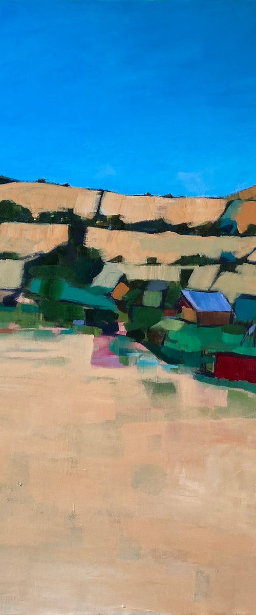 Knucklas allotments 26 by Stuart Roper