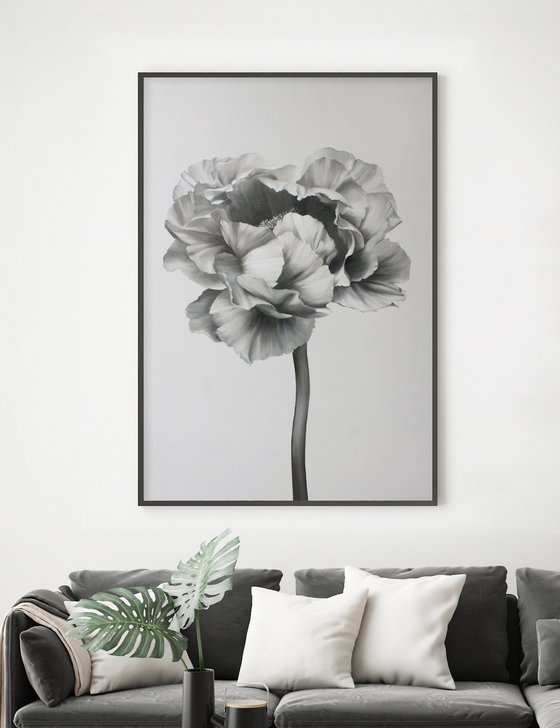 "Black and white peony 2" Black white flowers