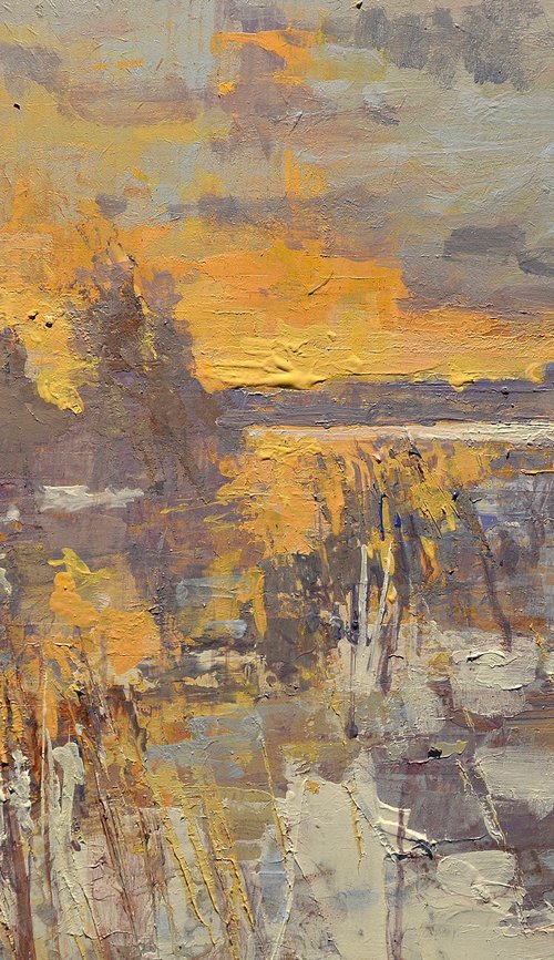 Winter sunset. by Tom Cringle