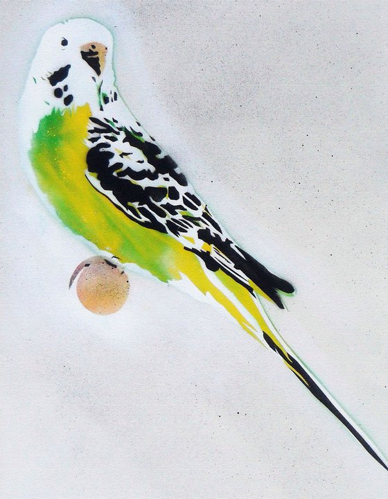 Grandma's other budgie (on canvas).