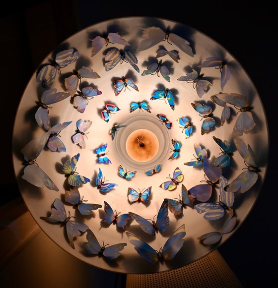 Butterfly roost