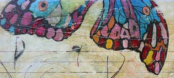 The Sound of Metamorphosis