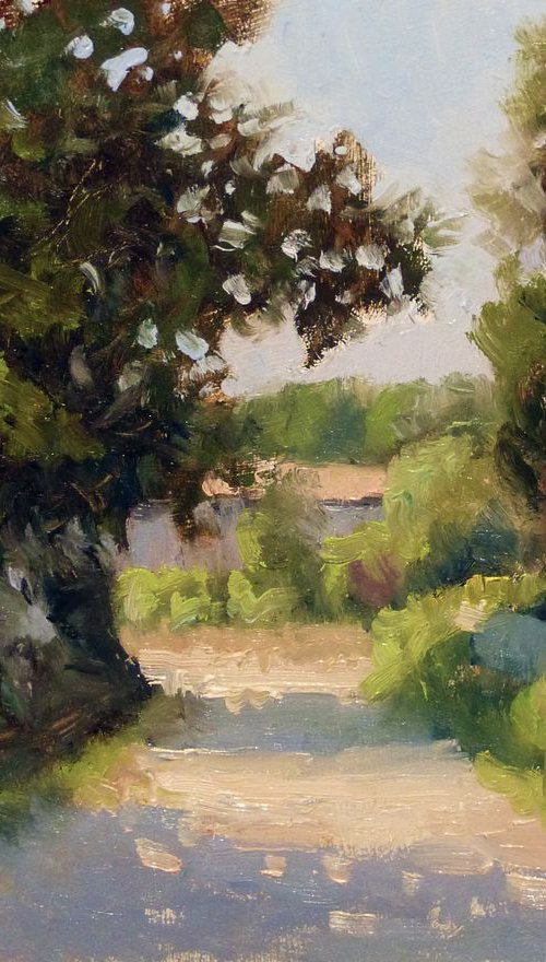 Path in Provence by Pascal Giroud