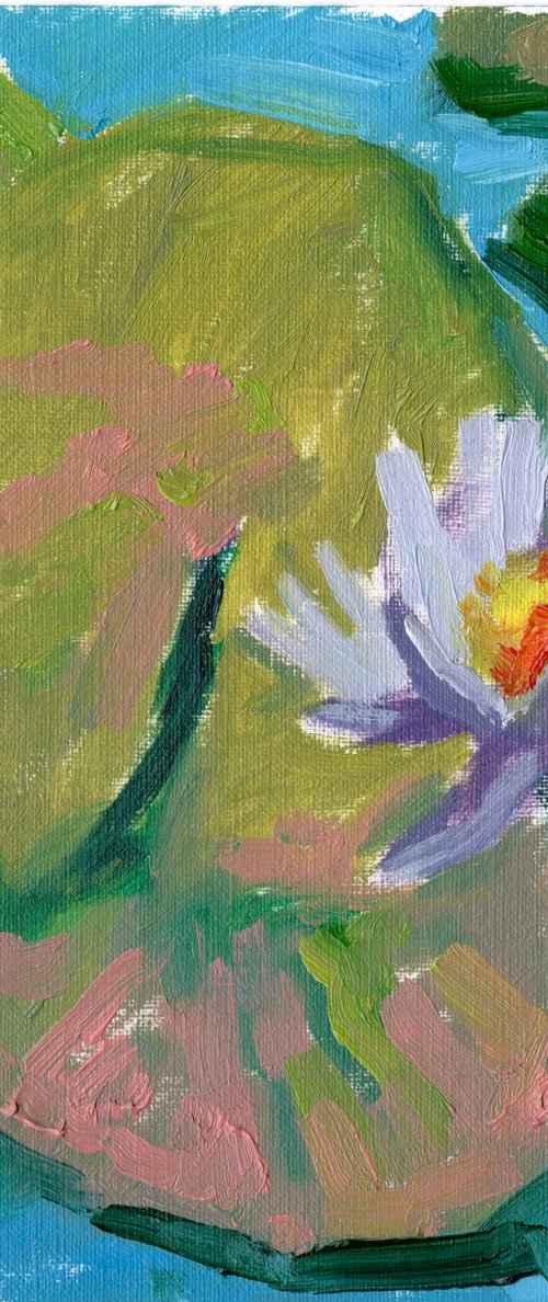 Water lily by Ekaterina Dutkevich