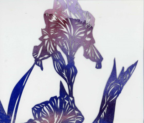 blue iris watercolor papercut