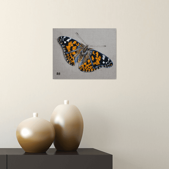 Butterfly