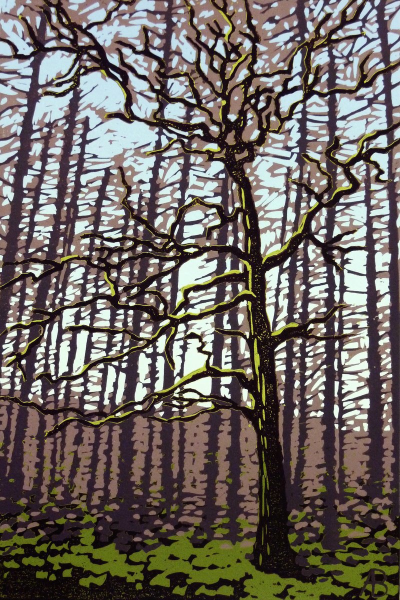 Impressionistic Landscape Linocut By Alexandra Buckle, 10 X 14, Winter Oak, Original Artwork