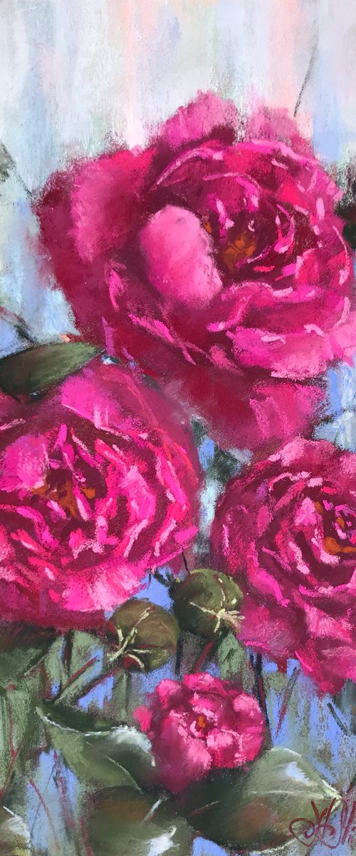 Roses of July by Nataly Mikhailiuk