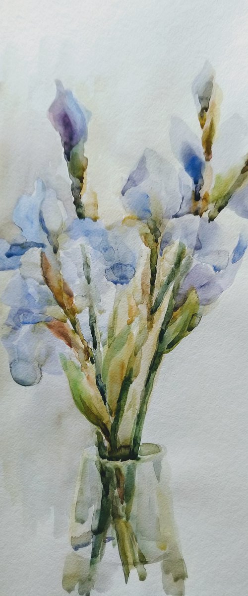 Irises. Original watercolour painting. by Elena Klyan