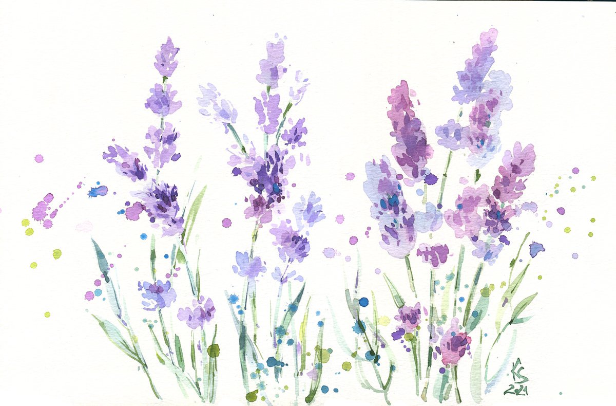 Lavender sprigs in dotted drops. Expressive sketch original watercolor illustration by Ksenia Selianko