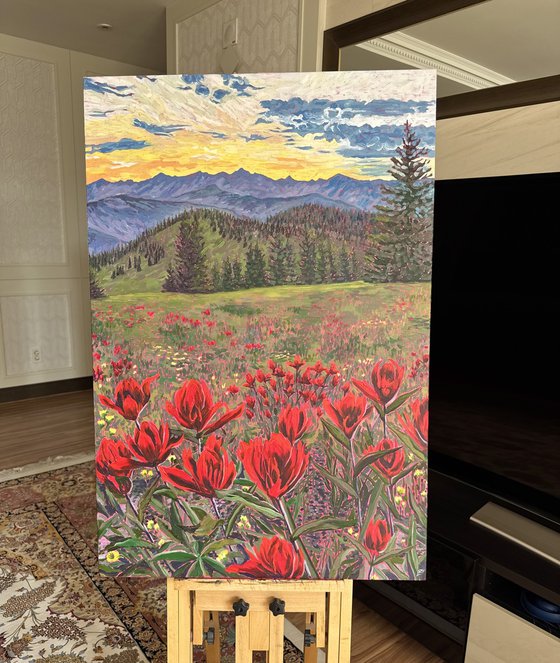 Scarlet Indian Paintbrush at Sunset