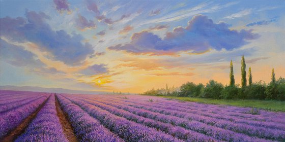 Lavender evening