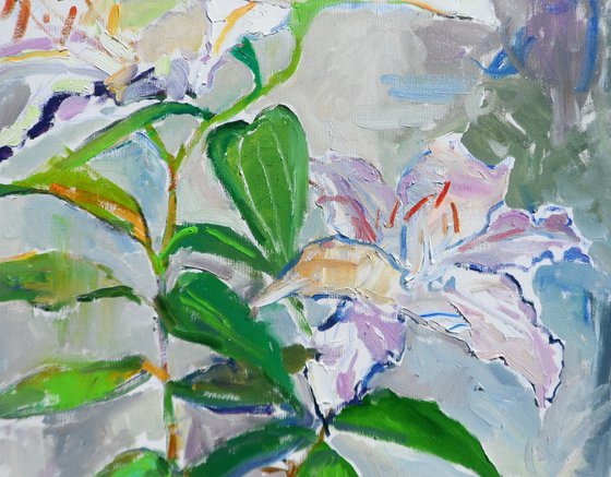 " Lily"