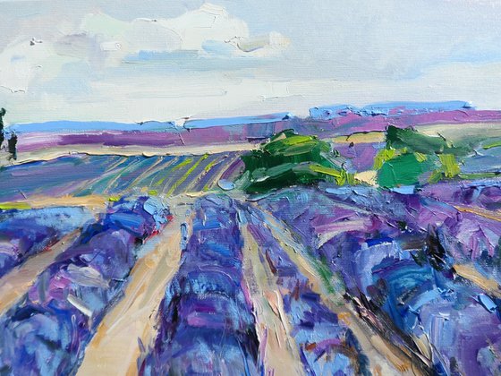 "  lavender "