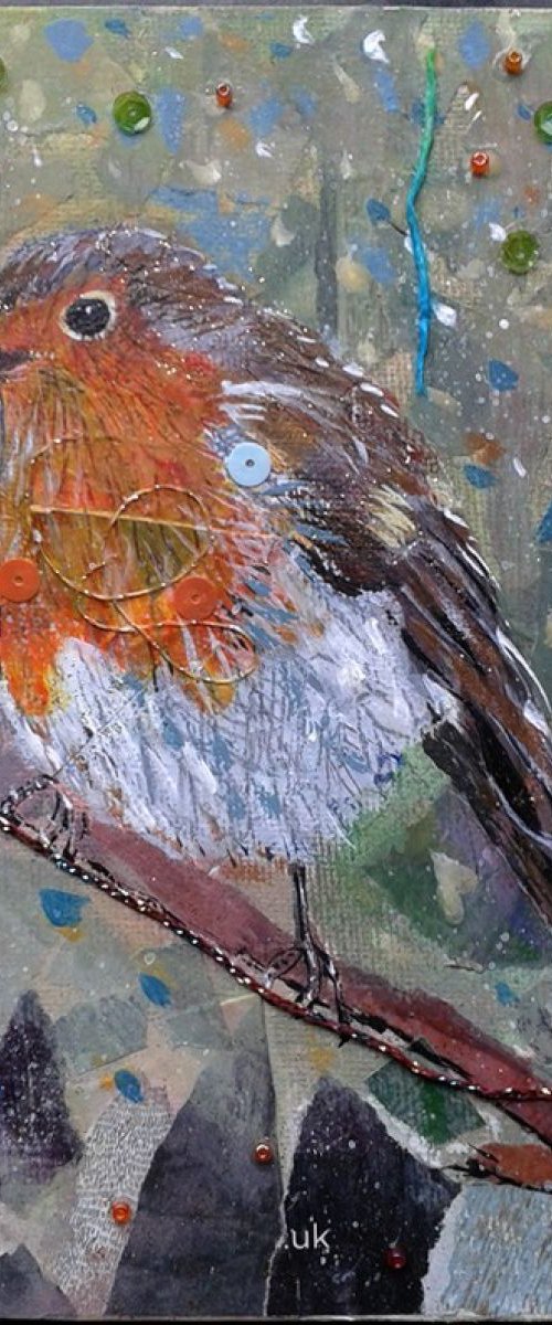 Robin in the woods by Fiona Plaisted