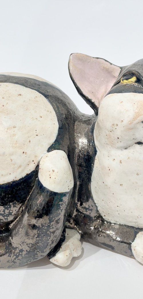 Whispers of Purrfect Peace by Viktor Zuk