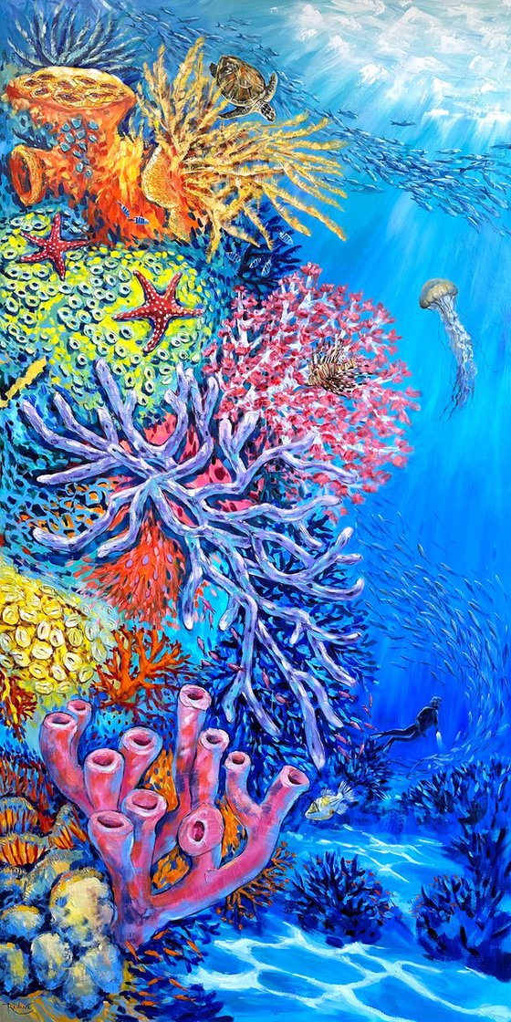 Coral Reef Wonder