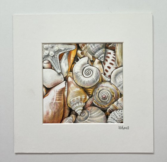 Shells