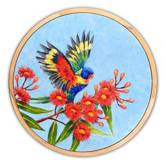 Rainbow lorikeet on a blossoming gum tree – framed original painting