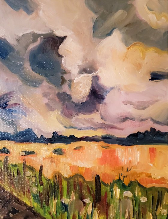 Storm over august field