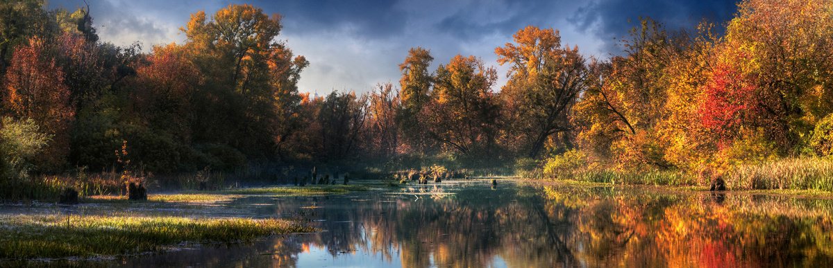 Impressionistic Landscape Photograph By Valerix, 71 X 23", Panoramic Autumn., Original Artwork