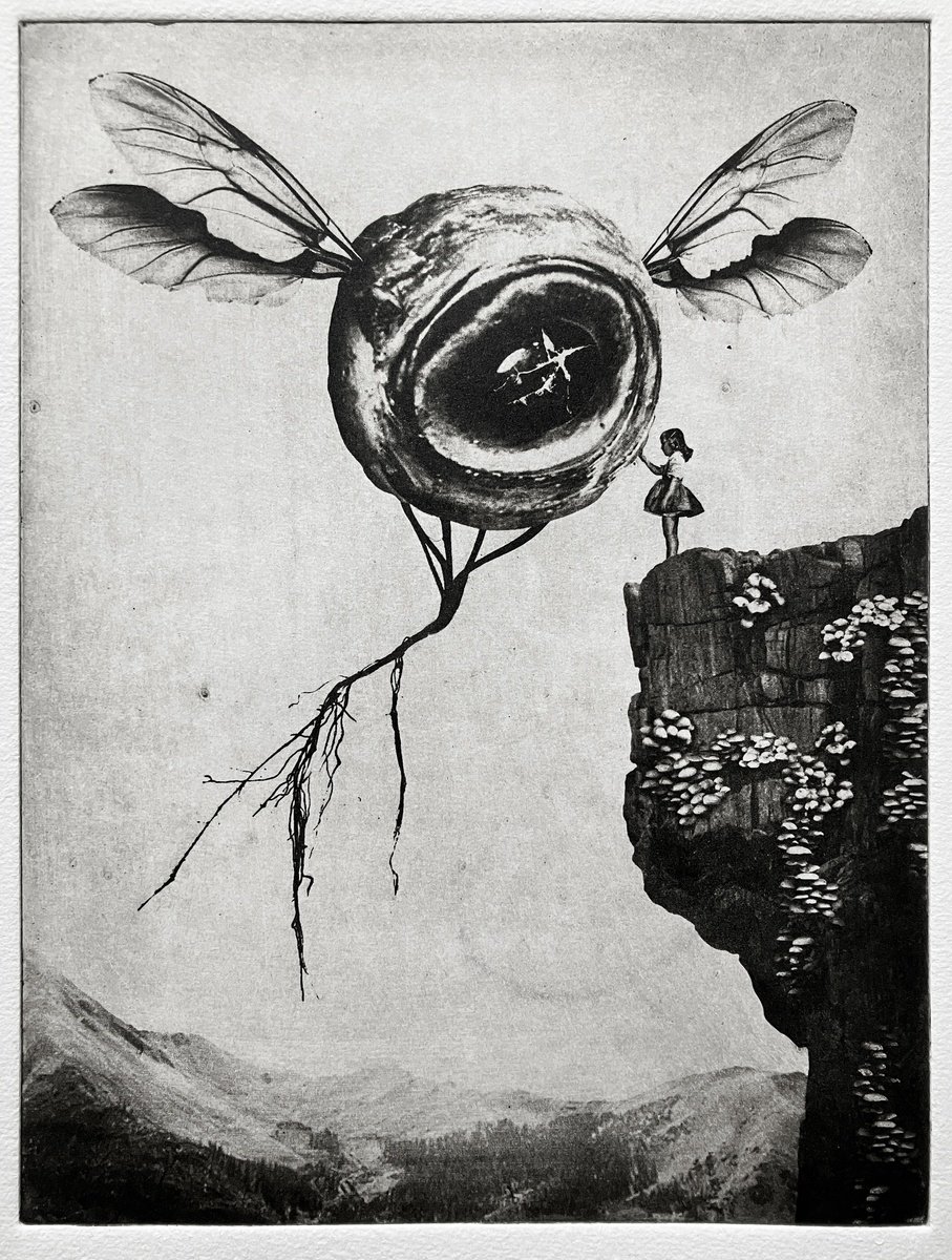 Surrealistic Portrait Etchings & Engravings By Jaco Putker, 10 X 13, Exterior No.5: Goodb(Eye) Ii, Original Artwork