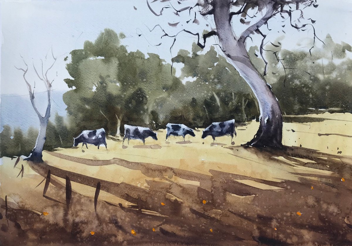 Cows Grazing in the Village Fields by Swarup Dandapat