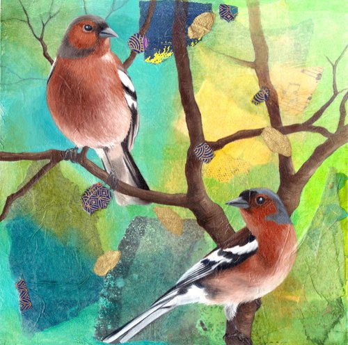 Chaffinches by Veronique Oodian