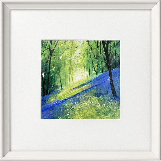 Seasons - Light Across Bluebell Bank framed