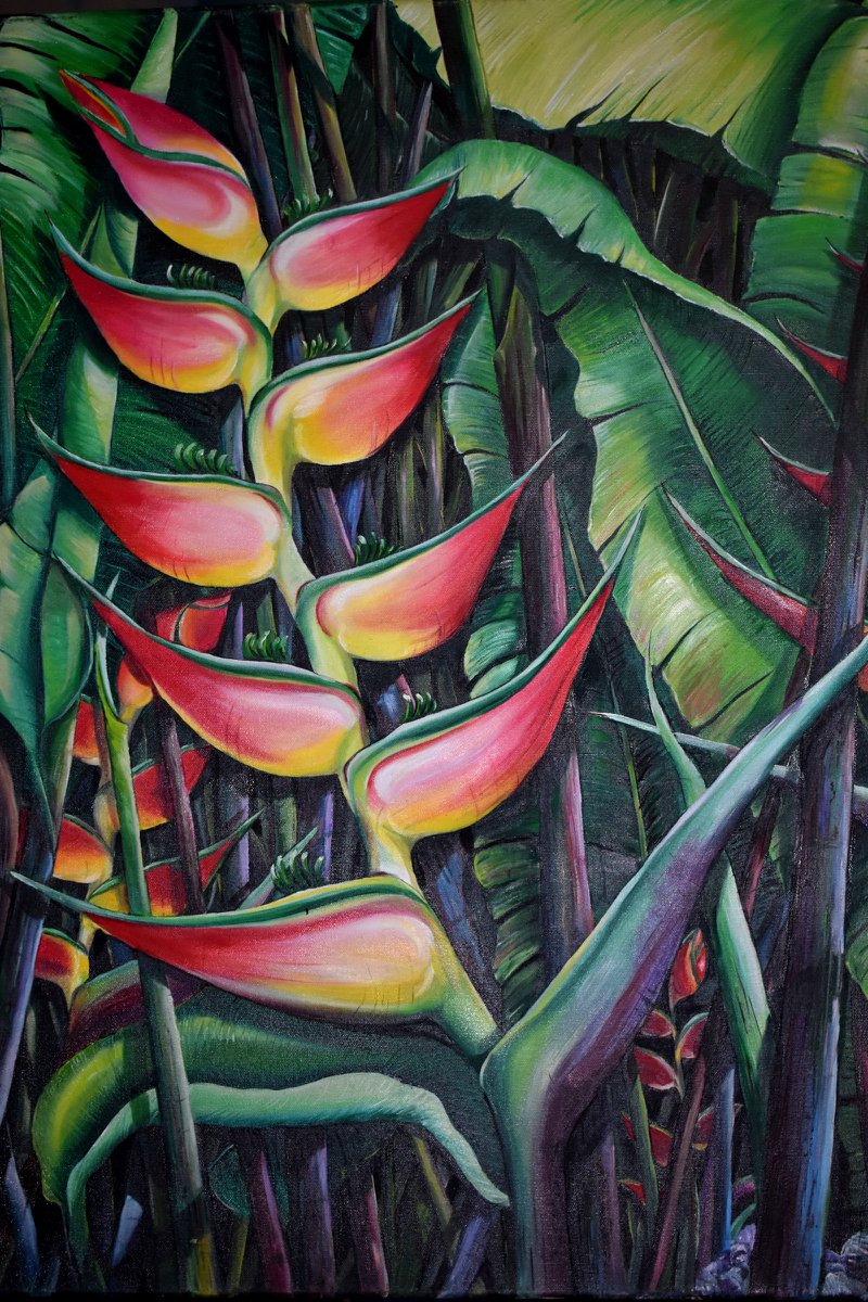 HELICONIA SUNSET by KARIN DAWN BEST