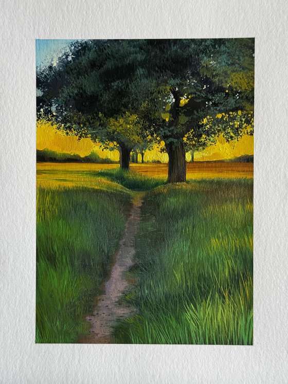 Sunset Landscape