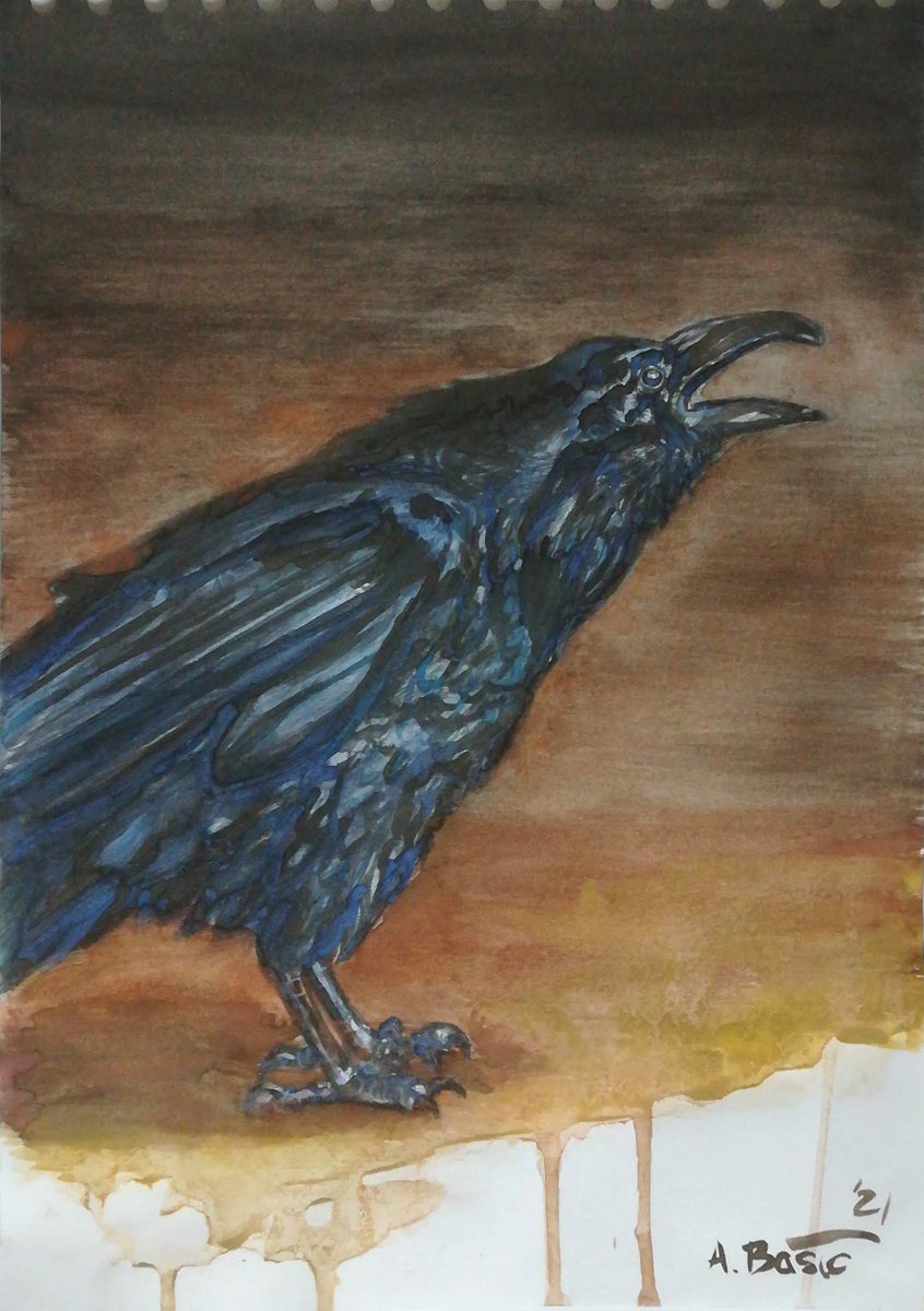 Expressive Animal Watercolour By Aleksandar Basic, 8 X 11, Raven, Original Artwork