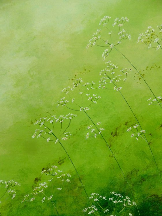 Cow Parsley on Green