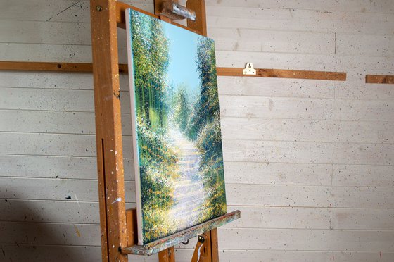 Late Summer Forest Trees