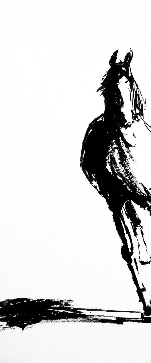 Horse series #1 - Black and white by Tihomir Cirkvencic