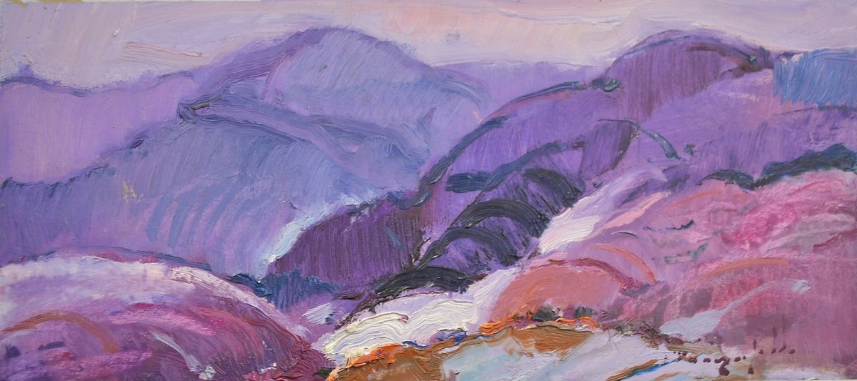 Purple Mountains by Alexander Shandor