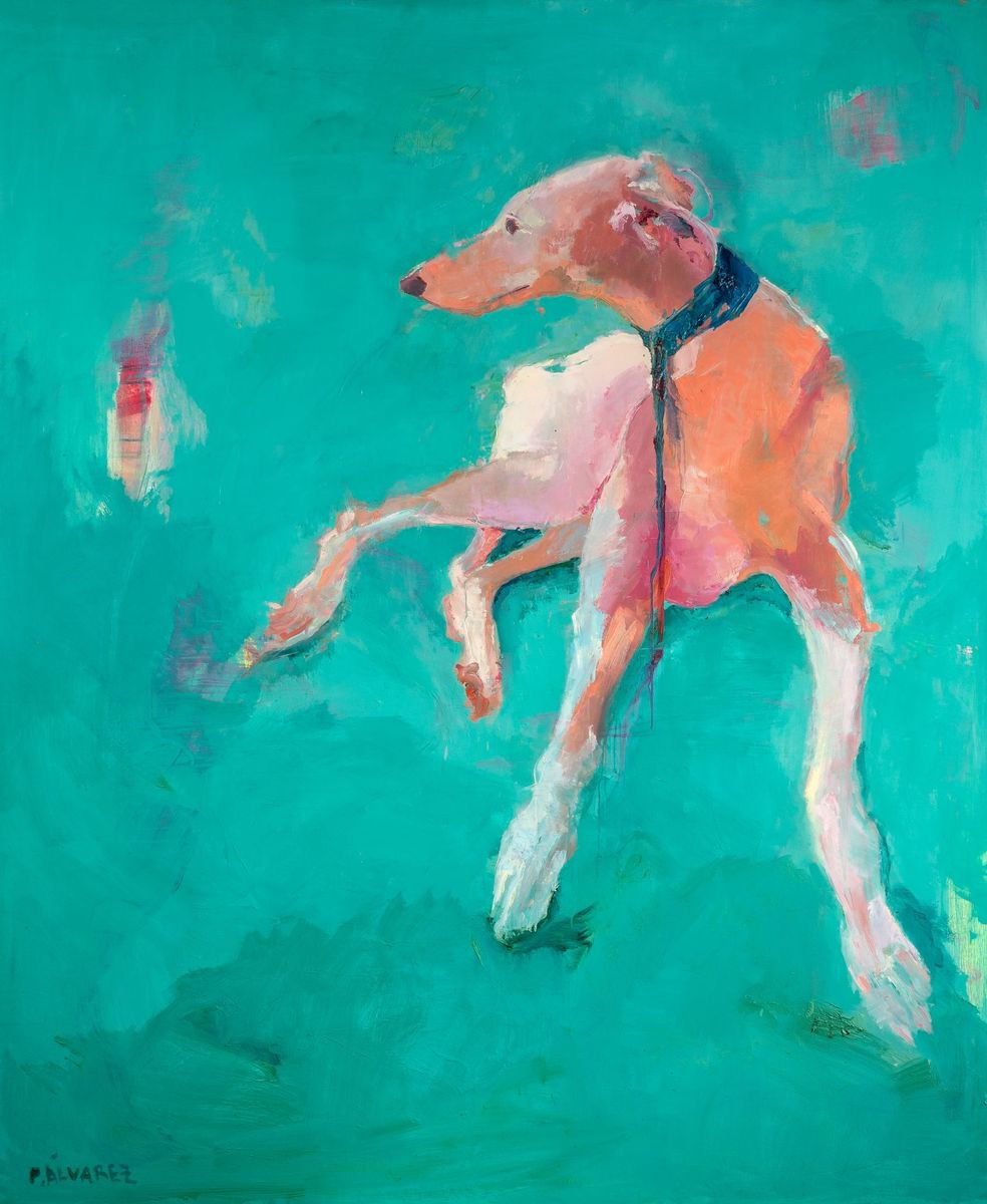 Greyhound by Pilar Alvarez