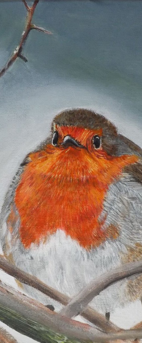 Robin by Lynne Harris