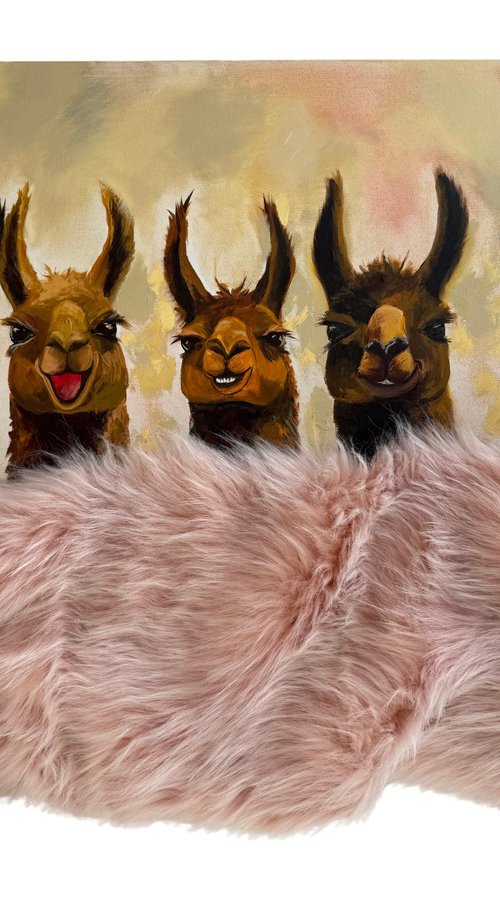 Cozy Alpacas Under A Blanket by VICTO