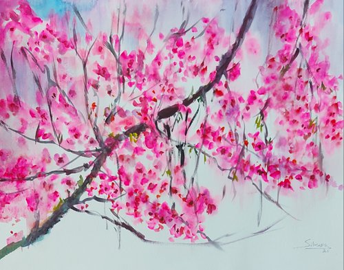 Sakura by Silvia Flores Vitiello