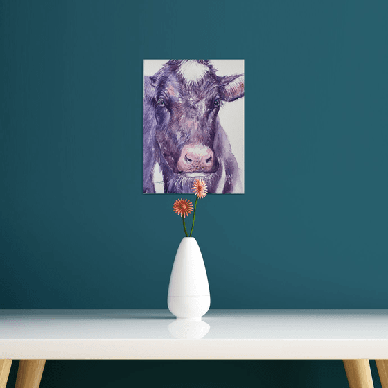 Viola the Cow