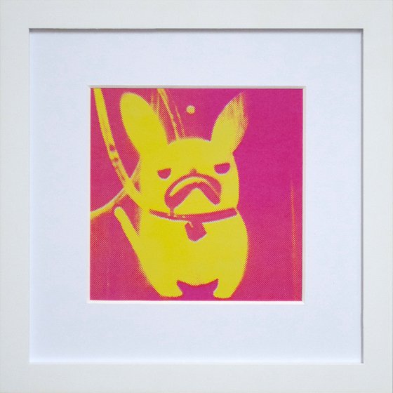 'Custard' French Bulldog (small framed artists proof)