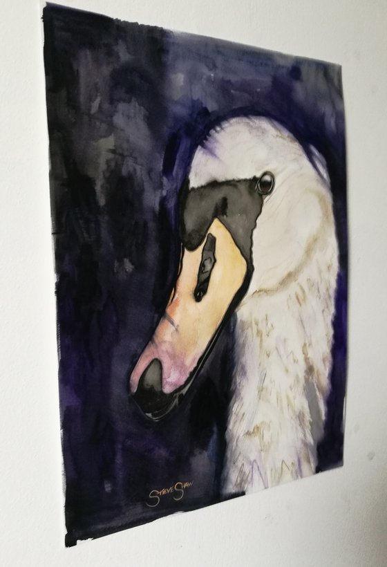 A Captivating Creature. Watercolour Swan. Birds. Animals. Free Shipping