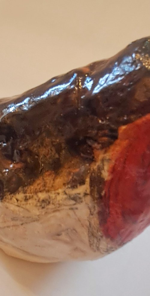 Robin by Deborah Donnelly