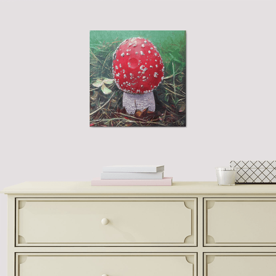 Fly agaric red