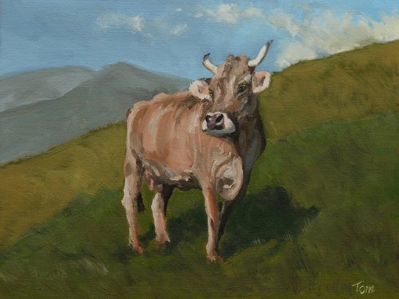 Swiss Brown Cow on hillside