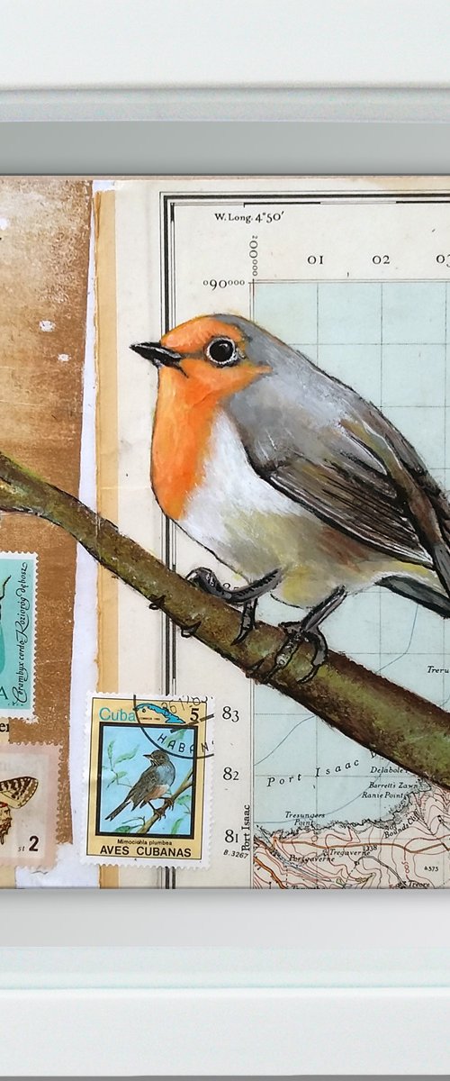 Robin- Ornithology #10 - Framed ready to hang original painting by Carolynne Coulson