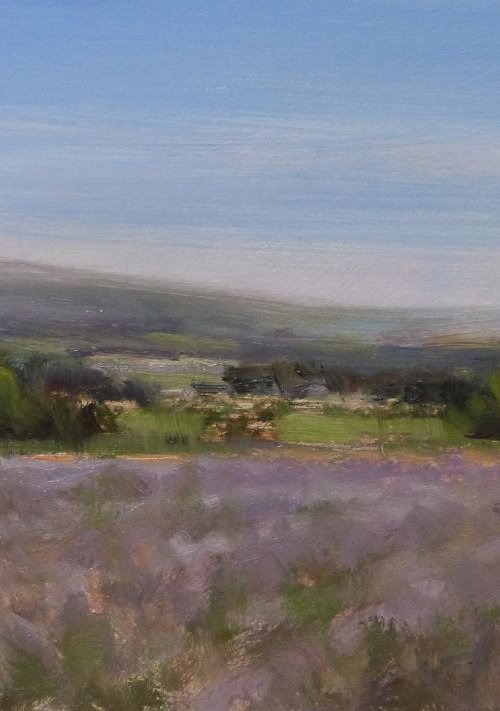 Lavender Fields at Valensole by Pascal Giroud