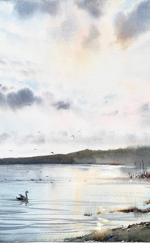 Lake and Swan | Narach, Belarus by Eugenia Gorbacheva